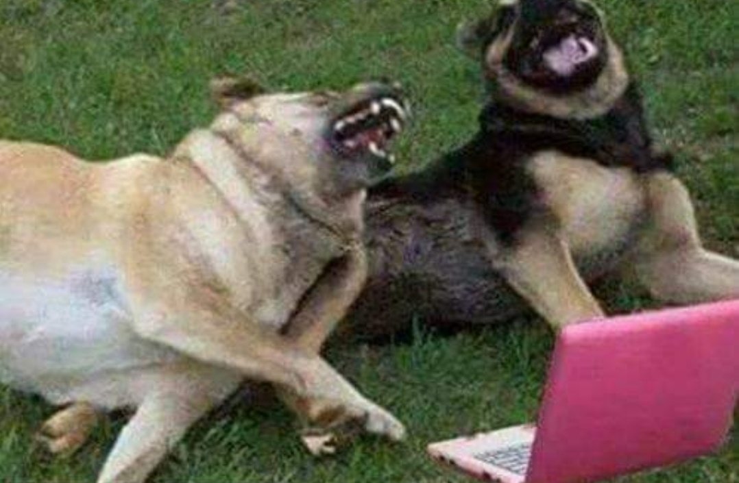 Y me pregunta si quiero aceptar las cookies, si me las lanzas sí