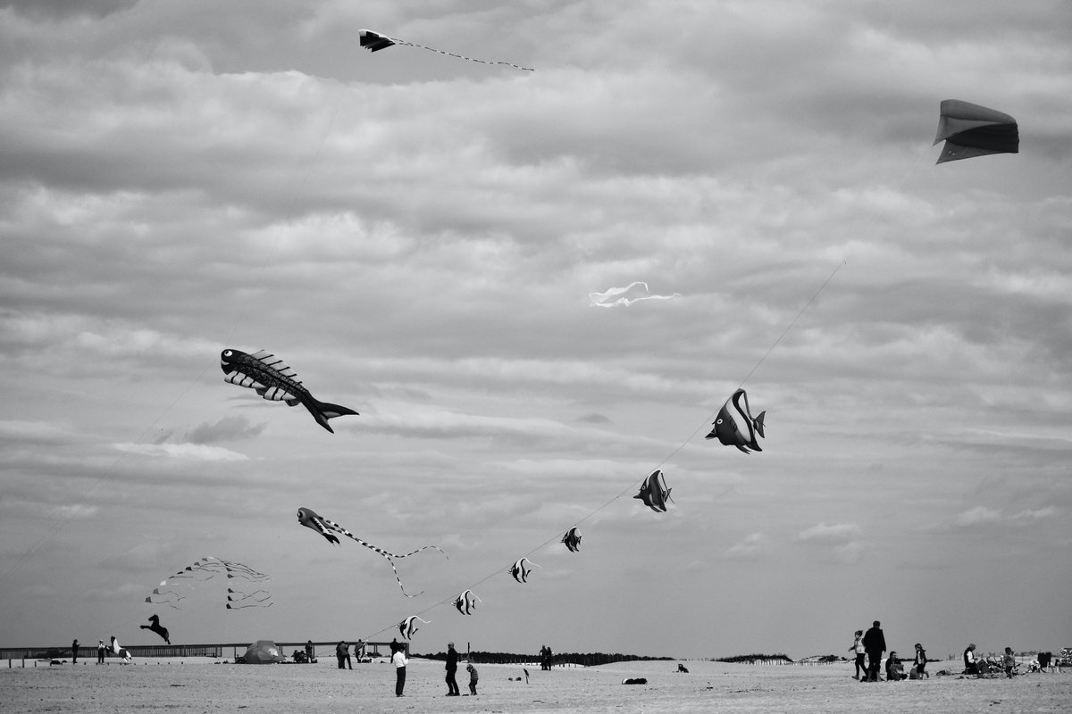 Wakefield arts tweet media