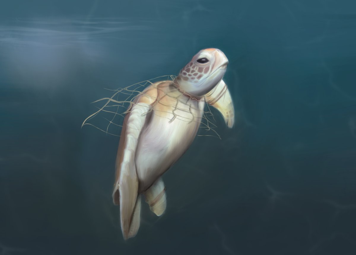 Wakefield arts tweet media