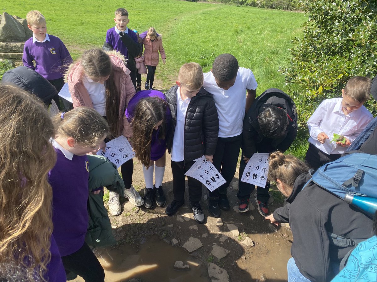 P5a ⁦@Castleview_PS⁩ Junior Rangers exploring the glorious Craigmillar Castle woodland. Fox feet and tracking were the name of the game. Thank you Elly ⁦@greenspacetrust⁩ for an awesome session.