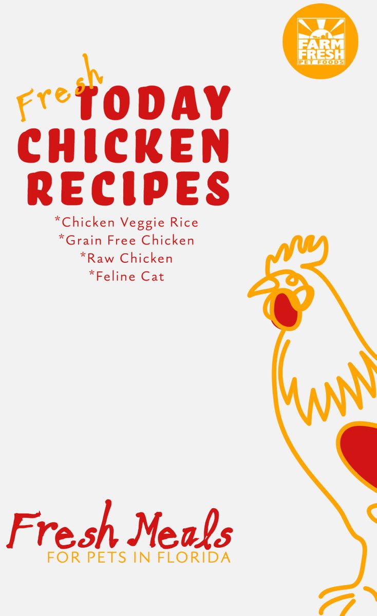 FarmFreshPet1's tweet photo. #dogsoftwitter &amp; #petlovers is your food made #Fresh weekly? 🐈‍⬛🐕🩷🫶🐔
#freshfoodfordogs
#freshfoodforcats
#healthydogs
#floridadogs
#realfoodfordogs https://t.co/8vwdSRbRBP