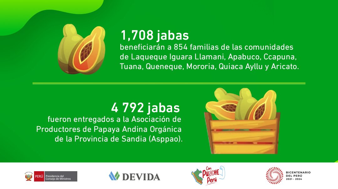 DEVIDAPERU's tweet photo. #Puno | ¡Buenas noticias para los productores de papayita andina!

Gracias a la alianza estratégica con la Municipalidad Provincial de Sandia y al equipamiento entregado, cientos de familias podrán mejorar sus productos. 

#NotaDePrensa 👉 https://t.co/3MGG2hugIt https://t.co/N5Sp5Z6Q1U