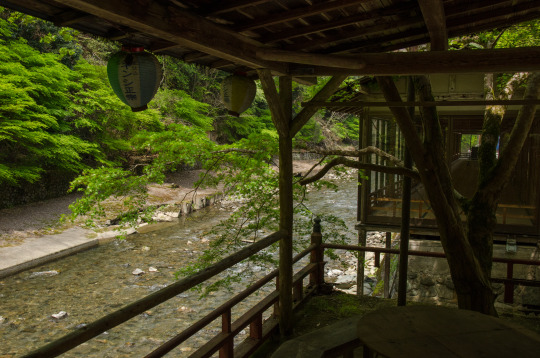 topycoore's tweet photo. #nature #japan #kyoto https://t.co/pH5MHAchbI