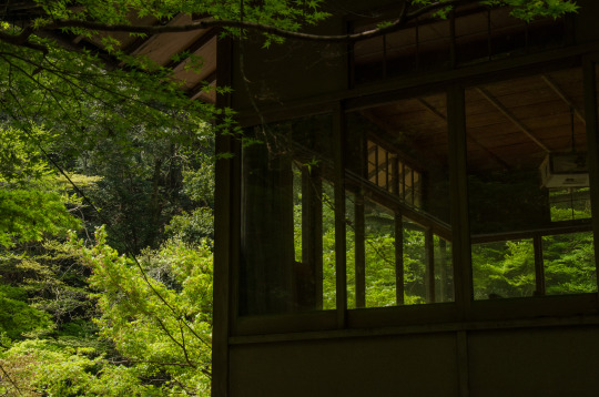 topycoore's tweet photo. #nature #japan #kyoto https://t.co/pH5MHAchbI
