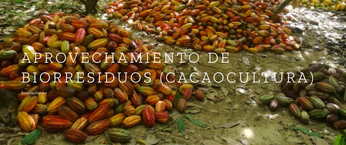 colombiamascom1's tweet photo. #FelizMartes

¿Conoces los desafíos de la cadena de #IngredientesNaturales?

-Invertir en investigación y desarrollo
-Entender la dimensión ambiental y cultural de un ingrediente
-Desarrollar cadenas de suministro sostenibles

Sabías que los proyectos de C+C ayudan a superarlos👇 https://t.co/e7A7Fj1TXe