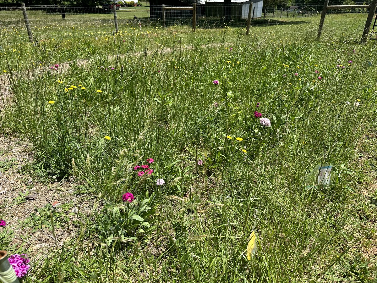 Jonathan Bryant tweet media