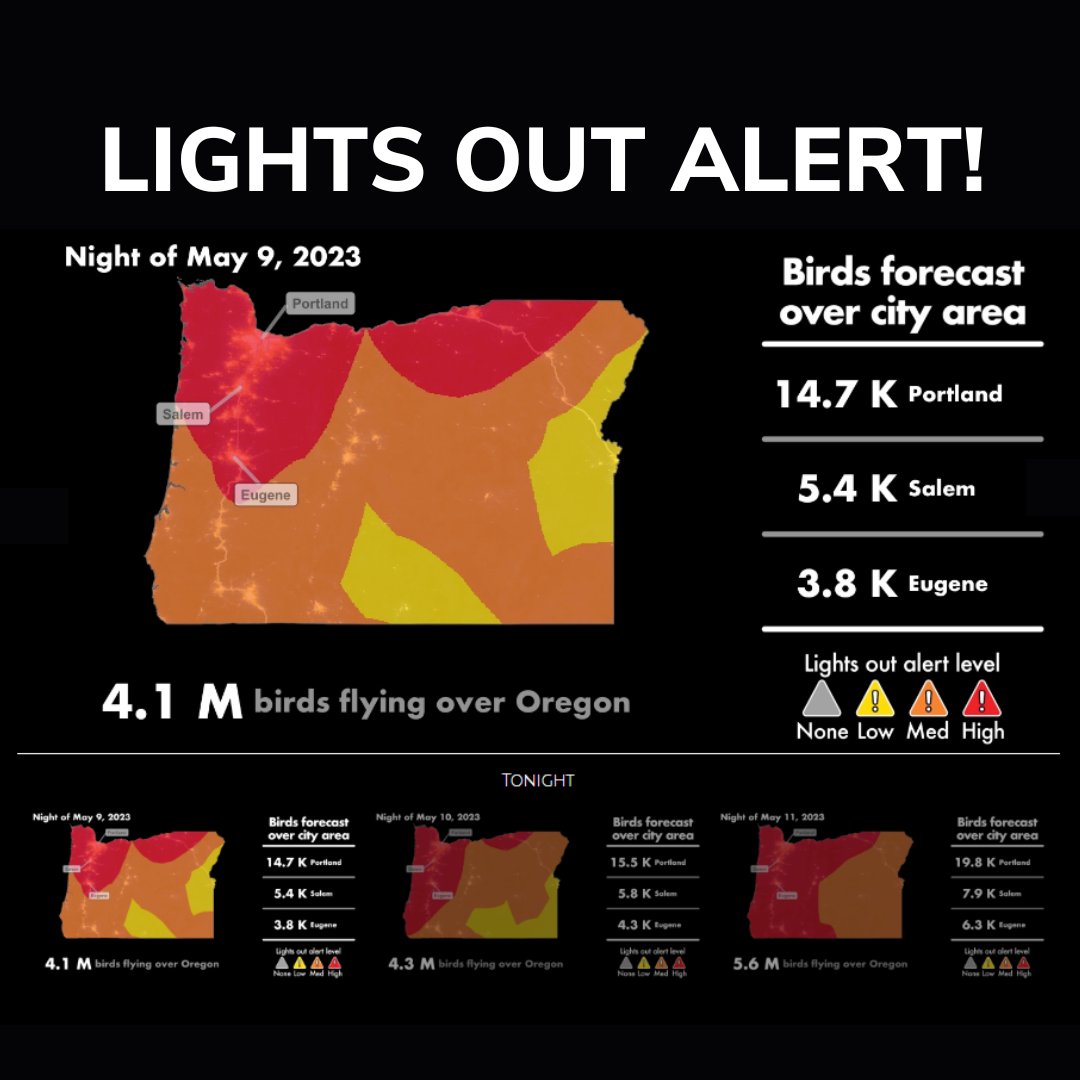 BirdAllianceOR's tweet photo. 🚨 We have a #LightsOutAlert for tonight through Thursday! About 4.1 million - 5.6 million birds will migrate through Oregon's night skies during this time period.

Please keep birds safe as they migrate by turning off any unnecessary outdoor lighting and drawing your blinds. https://t.co/Jex4Q5JO9O