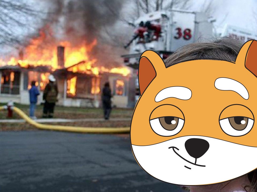 BabyDoge's tweet photo. https://t.co/ezrDAjugNW