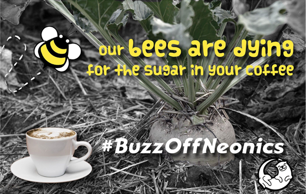 GRActivists's tweet photo. Our government is putting sugar profits ahead of #biodiversity. Buzz your MP to let them know we won't stand for it!
Learn how here π
https://t.co/I1Z07dCjPF
Learn more about the issue here π
https://t.co/ombtSget5V
#BuzzOffNeonics #nature #pollinators #Ecology https://t.co/q6aCYFkrxc