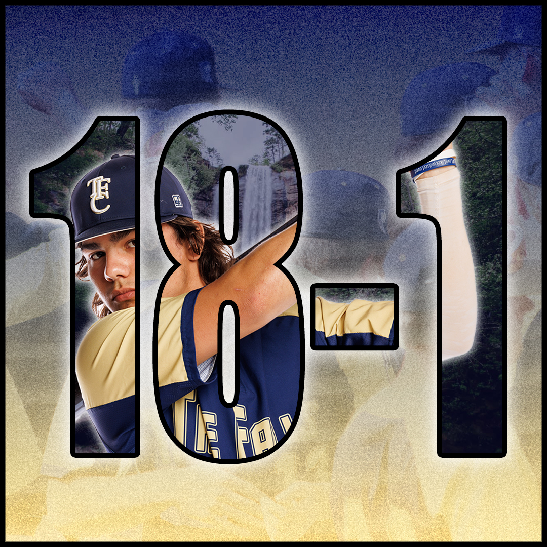 Toccoa Falls Baseball tweet media