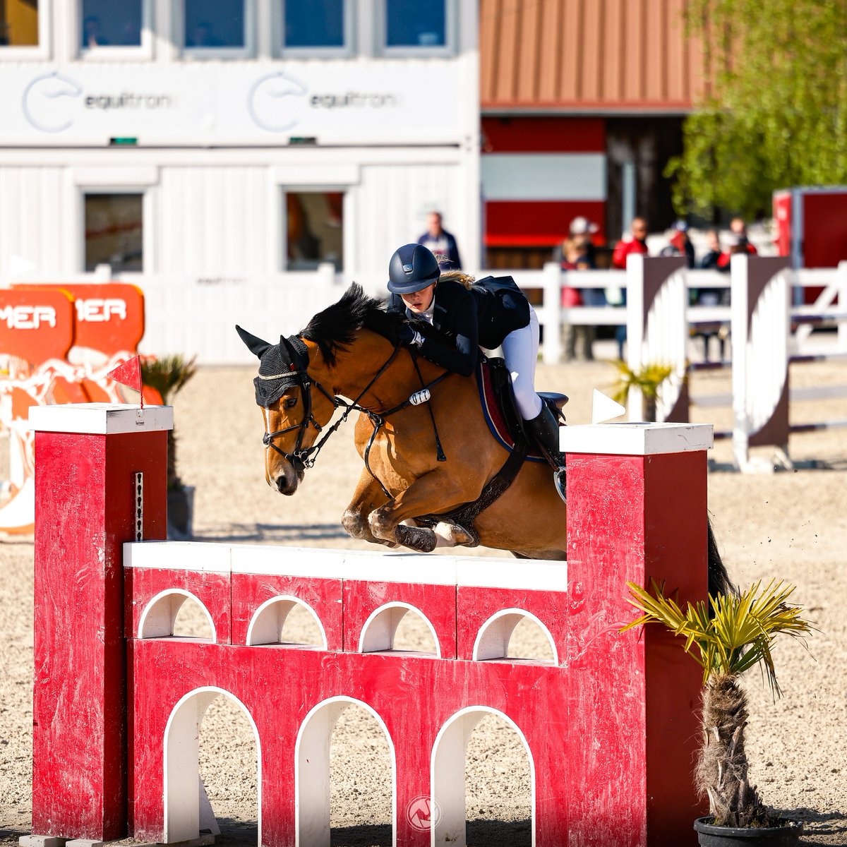WellingtonUK's tweet photo. Congratulations Tilly! Her clear round helped Team GB  to Silver in the Nations Cup, before going on the next day to compete in the GP, this time winning individual Silver: in a very technical arena, Tilly and her pony Lapislazuli were one of only 2 combinations to go clear. https://t.co/FL51RfFso5