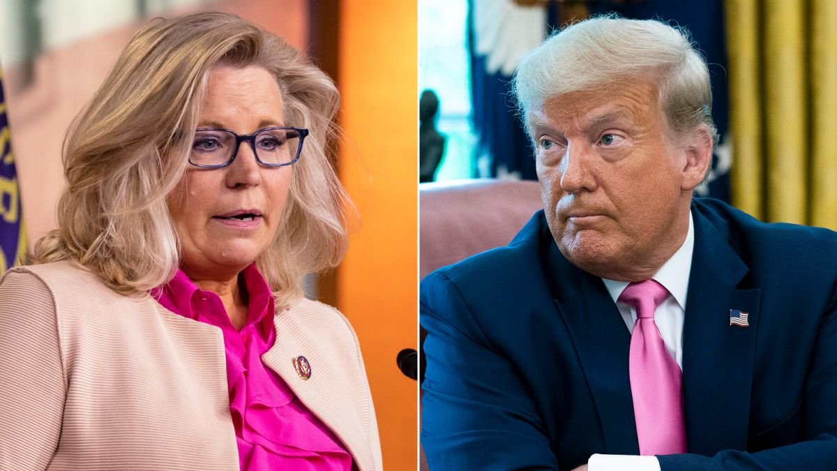 BREAKING: Republican Liz Cheney releases a BRUTAL attack ad against Donald Trump, calling him a 'a risk America can never take again' in a video that is sure to infuriate the disgraced former president. She points out that he is the 'only president in American history' to refuse…