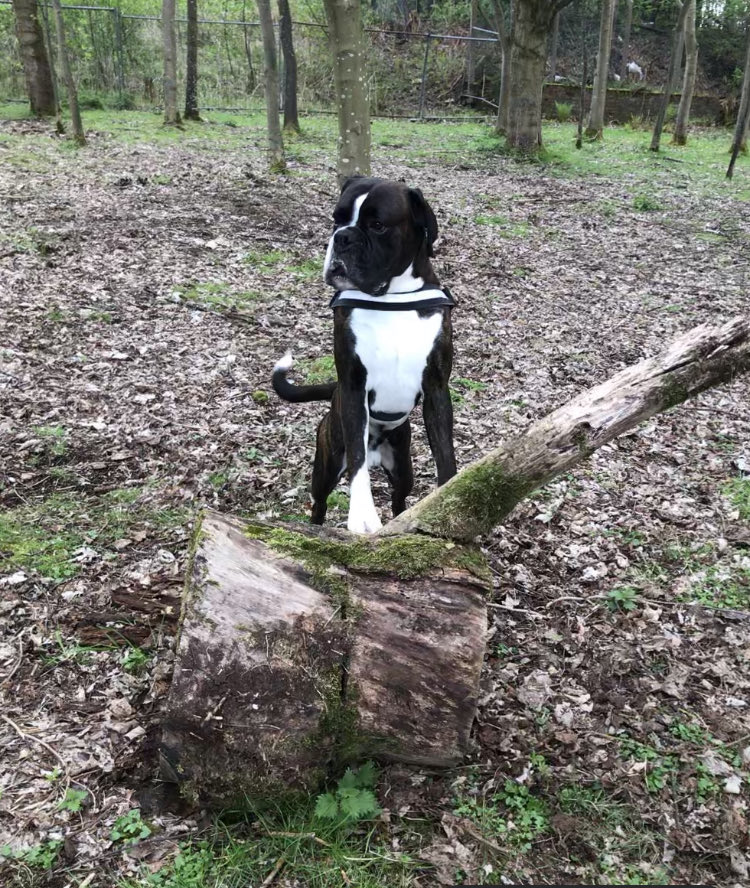 RIP eric. love and remember u forever xx tweet media