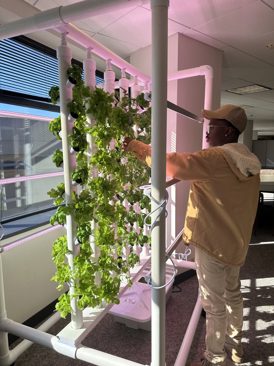 Introducing our Ponix Future Farmer Kit, grows up to 96 plants 🌱 perfect STEM garden for middle schools. Great way to enhance early STEM programs right in the classrooms 📝🎓

#education #stemeducation #students #hydroponics #stemgarden #teachers #ponixfarms #ponix #ponixmini