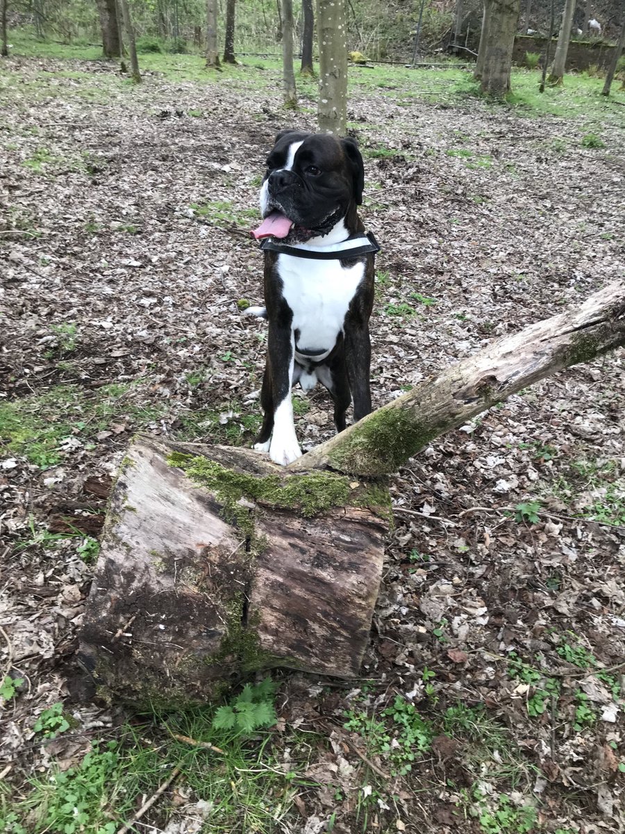 RIP eric. love and remember u forever xx tweet media