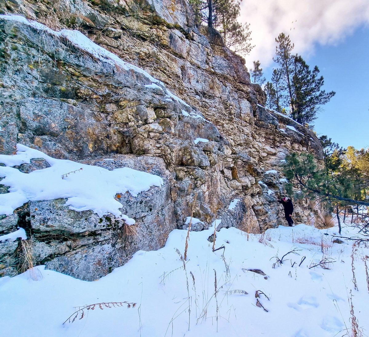 midwestlithium's tweet image. Two more past producing lithium mines added to Midwest Lithium’s exploration portfolio in South Dakota: Mateen and Ingersoll.

For more information about the company and project, visit our website midwestlithium.com
#lithium #spodumene #usbatteries #hardrocklithium