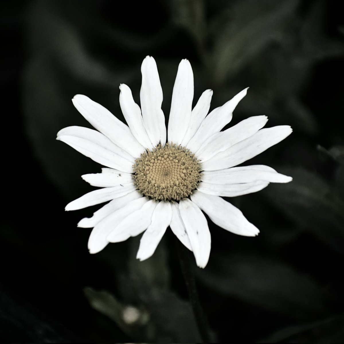 CAPtion_Motives's tweet image. These shots exist because of Load Shedding.

#RandomShots
#CAPtionMotives