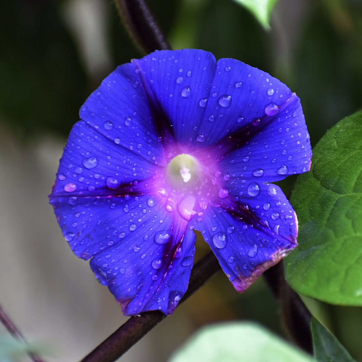 CAPtion_Motives's tweet image. These shots exist because of Load Shedding.

#RandomShots
#CAPtionMotives