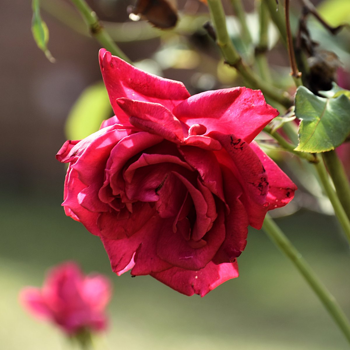 CAPtion_Motives's tweet image. These shots exist because of Load Shedding.

#RandomShots
#CAPtionMotives