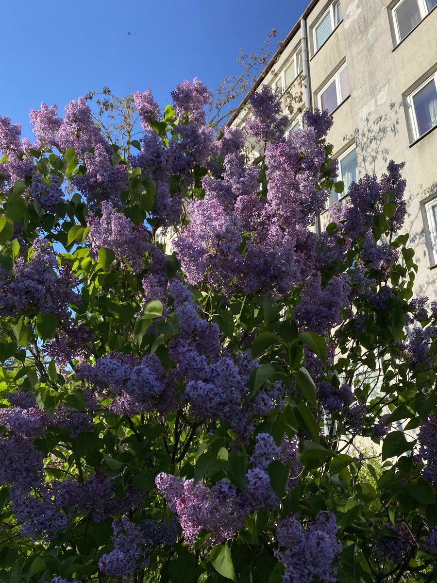 marnosci's tweet photo. mój ukochany moment roku właśnie się zaczął https://t.co/9yjr09bLji