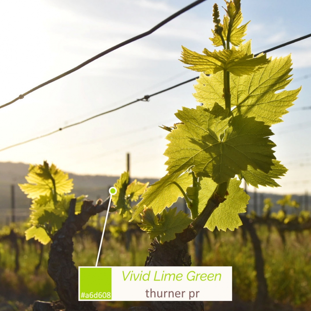 ThinkThurner tweet media