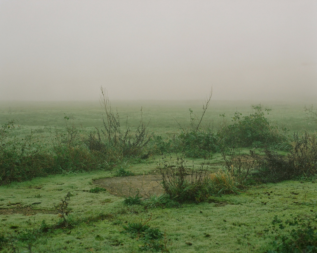 Uncontaminated (@unct_co) on Twitter photo Presenting New Artist FREYA NAJADE <a href="/FreyaNajade/">Freya Najade</a>
'Fog on the Marshes'
2020
Limite Edition 1 of 1
Artist Profile Gallery at uncontaminated.co/freyanajade Presenting New Artist FREYA NAJADE <a href="/FreyaNajade/">Freya Najade</a>
'Fog on the Marshes'
2020
Limite Edition 1 of 1
Artist Profile Gallery at uncontaminated.co/freyanajade