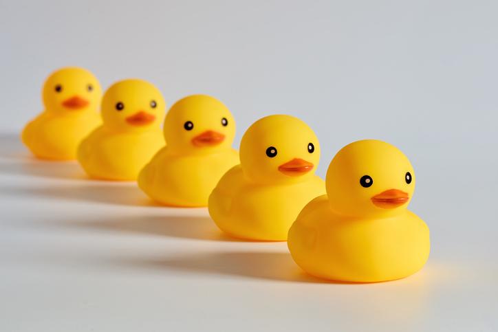 Scientific publishing includes not just the manuscript but also data, computer code and lab protocols. On #THECampus, <a href="/uni_lu/">uni.lu</a>’s <a href="/laurentheirendt/">Laurent Heirendt</a> shares advice that your research institute can follow to publish research results that are reproducible
bit.ly/3MaqfC2