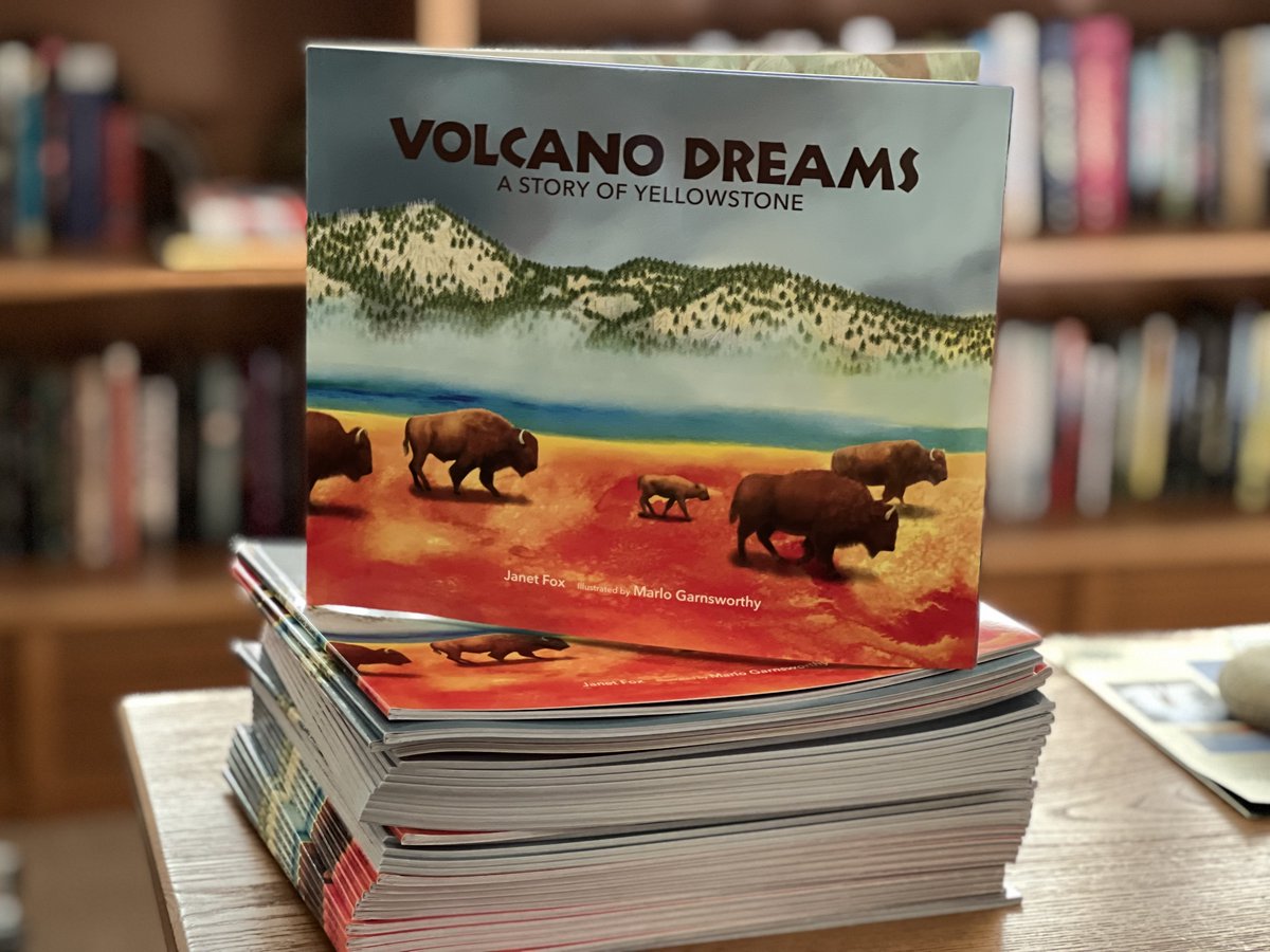 In honor of all the #teachers this week I'd like to give away a classroom set of Volcano Dreams: A Story of Yellowstone. ill: @MarloWordyBird , <a href="/WebOfLifeBooks/">Web of Life Children's Books</a>  Please comment here and RT to enter. #elementary #picturebook #volcano #yellowstone