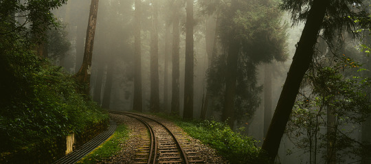topycoore's tweet photo. Alishan Shuishan Trail.
#nature #fog #landscape #taiwan https://t.co/qpq5HIS9jt