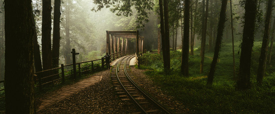 topycoore's tweet photo. Alishan Shuishan Trail.
#nature #fog #landscape #taiwan https://t.co/qpq5HIS9jt