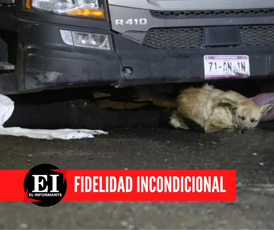 🐕❤️AMOR INCONDICIONAL‼️ SIN DUDA EL #MejorAmigo DEL HOMBRE 😞🖤
#QEPD 

Este #perrito no quiso separarse de su dueño, un abuelito que terminó sin vida debajo de un tráiler, tras un accidente en #Toluca, #Edomex.  El señor circulaba en su bicicleta cuando fue atropellado.
