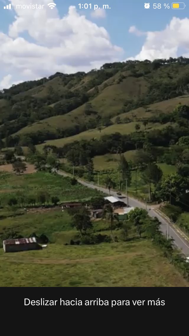info7noticias's tweet photo. #Reforestemos el mundo Sino tenemos bosques, no tendremos agua, sino tenemos agua, no tendremos vida. #Reforestemos @RDPorLoAlto https://t.co/u2lhm4aIsM