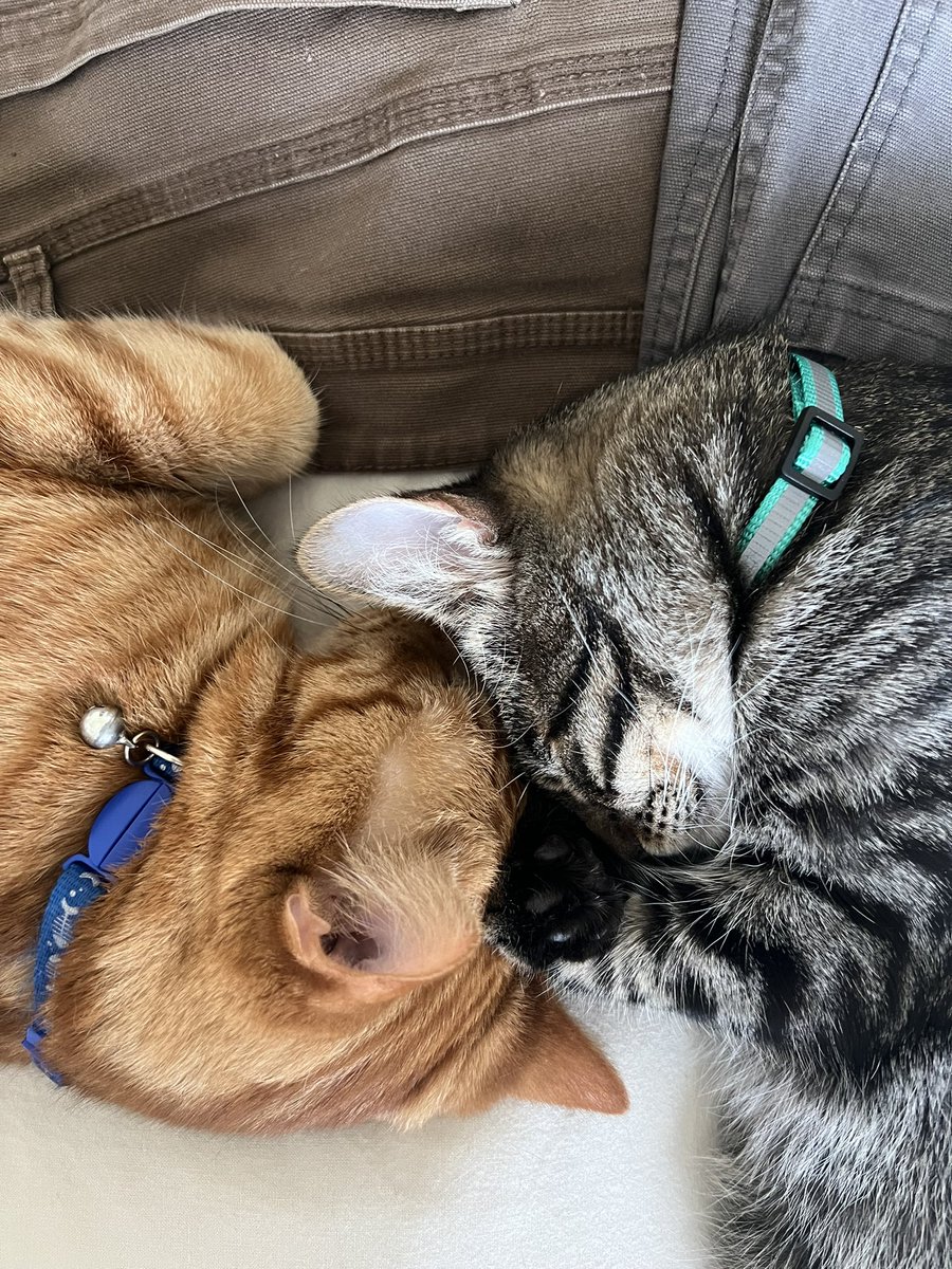 Best buds or lovers?? 🏳️‍🌈