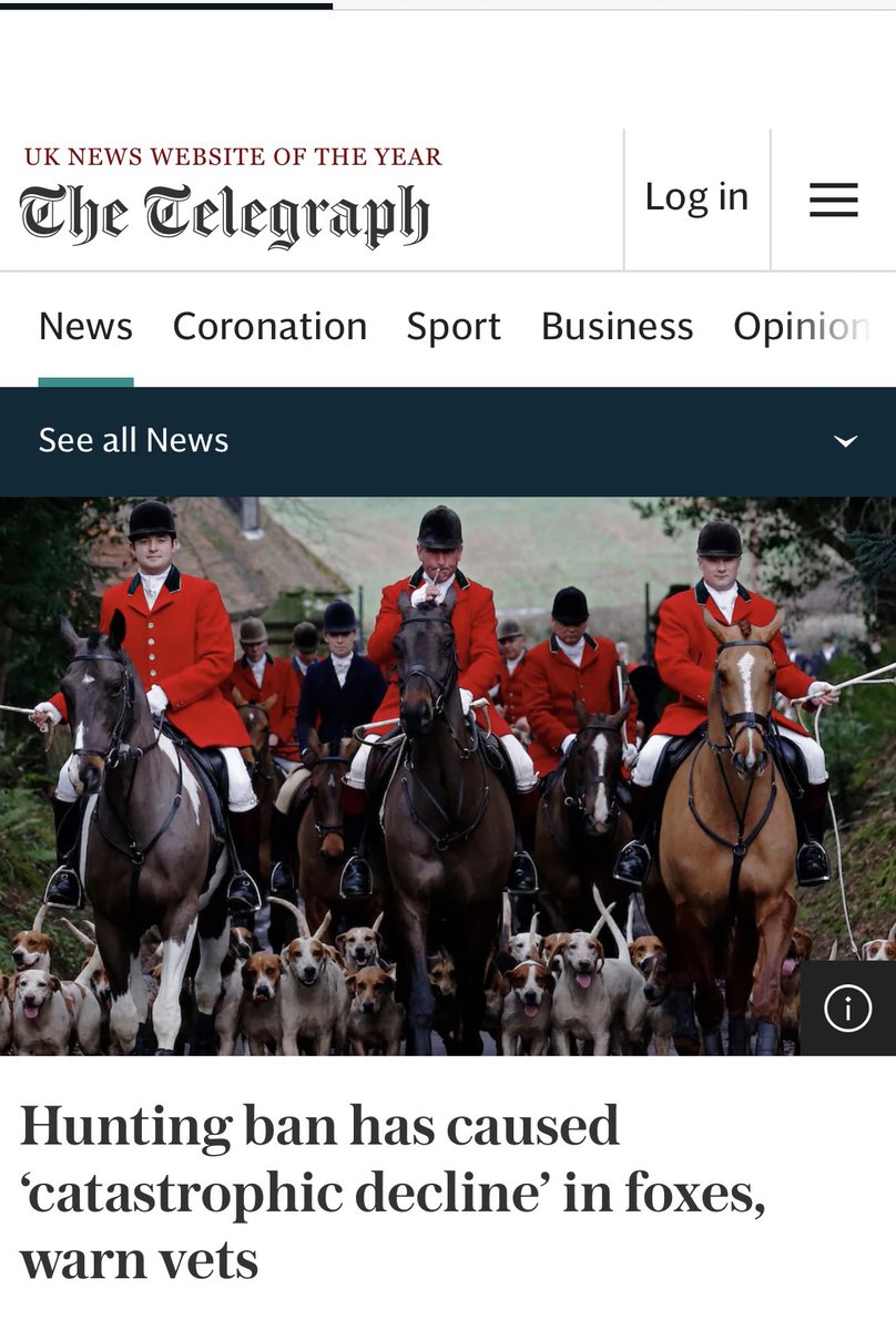 Banjo dog on Twitter