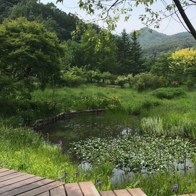 softdeIicacy's tweet photo. green sceneries. https://t.co/NnmkXDCF0G
