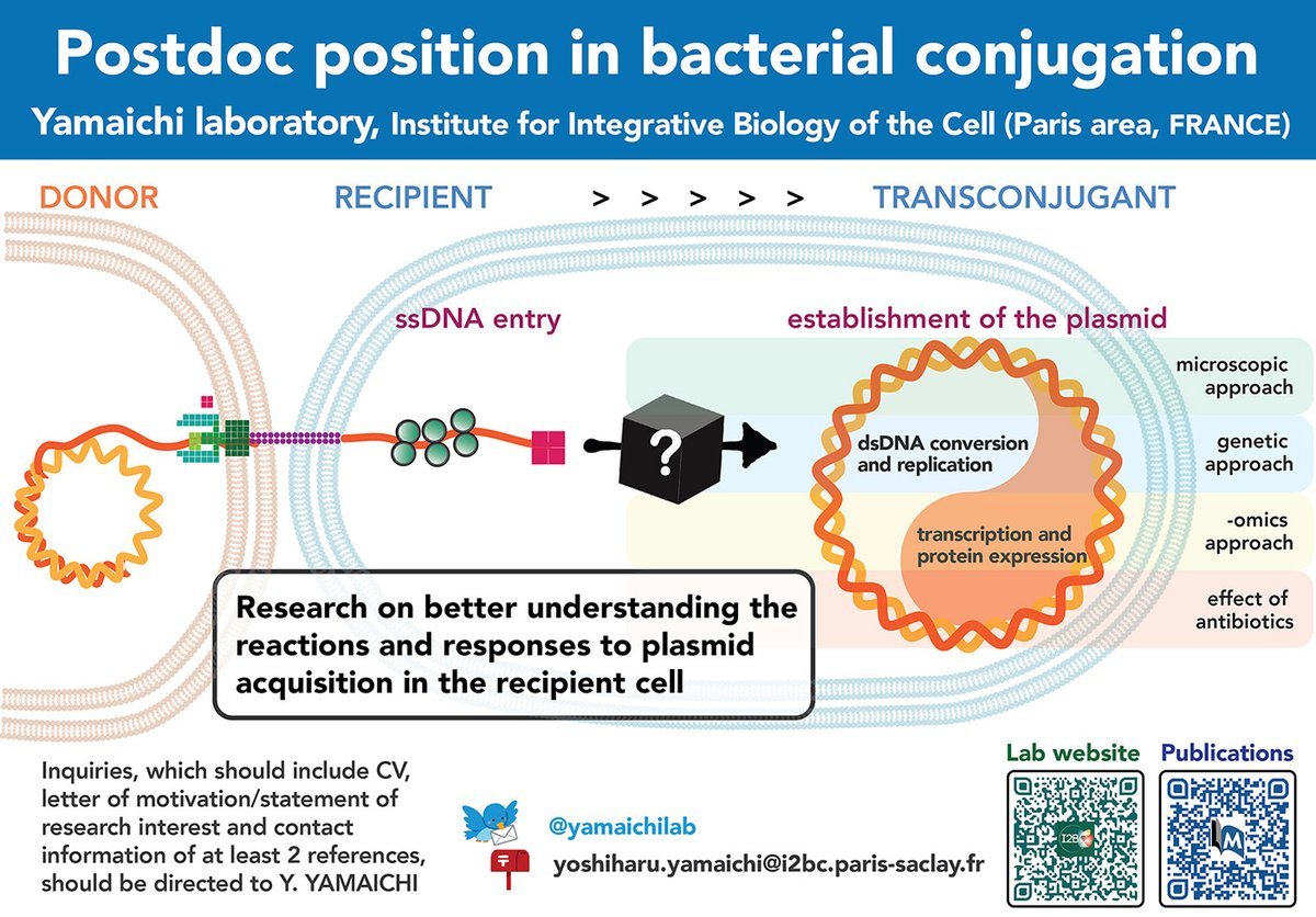 We are looking for a postdoc enthusiastic about plasmid conjugation. See attached flyer and thank you for sharing to whom might be interested.