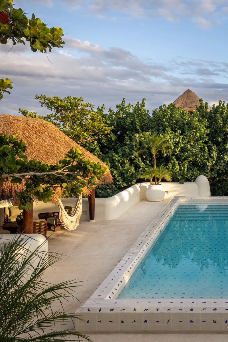 NATALIALABEL's tweet photo. The Mexican jungle sanctuary of my dreams. https://t.co/noED9dlNjz