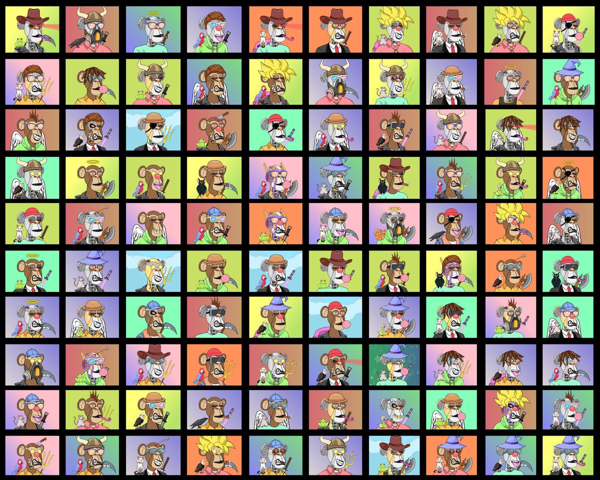 Ready for Ghetto Cats 😏