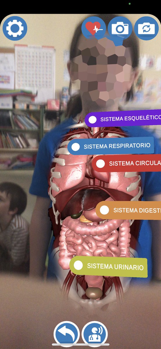 LaPalomaCEIP's tweet photo. Hoy en clase de 1º, Tecnología y Robótica: el cuerpo humano con realidad aumentada #virtualitee @LaPalomaCEIP https://t.co/KX9s39yo68