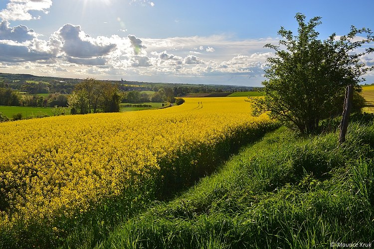 Op de Schneeberg (Aken, D.), met zicht op Lemiers en Vijlen (Limburg, NL)
