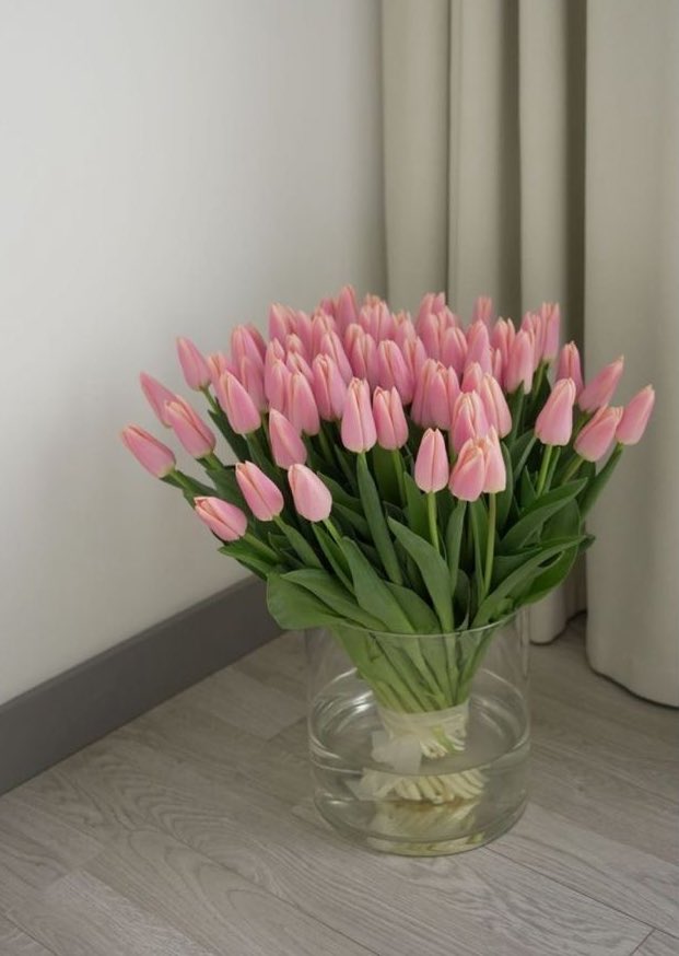 liviuuh's tweet photo. big bouquet of pink tulips <3 https://t.co/cO2YCRyYS3