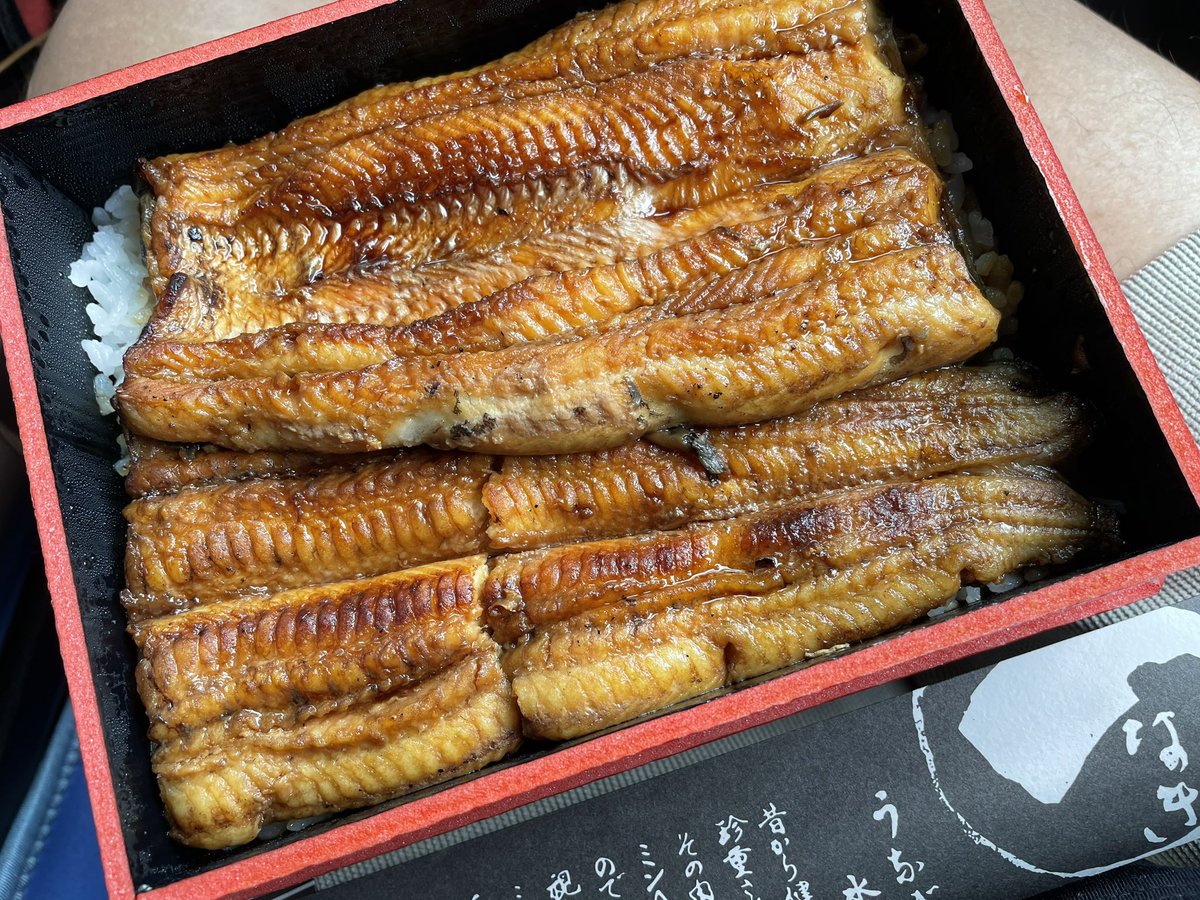 _hideki33's tweet photo. 小田原、友栄で食べた鰻美味かった！
#鰻 #鰻重 #小田原 #小田原グルメ #ともえいのうなぎ最高 #友栄
#サーフィン #サーフトリップ  #波乗り https://t.co/f4XHswnMMP