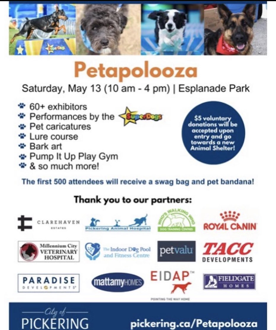 bulliesinneed's tweet image. Come check us out at Pickering’s Petapolooza this Saturday May 13th! We will have BIN merch for purchase, info on our adoptable dogs &amp;amp; will also be offering $10 nails trims. See you there! 🐶❤️ #pickeringpetapolooza #pickeringevents #dogrescue #adoptdontshop