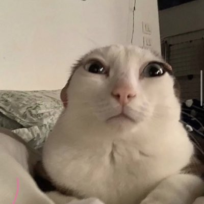 briannamp3's tweet photo. #NewProfilePic https://t.co/liBdwcWt9e