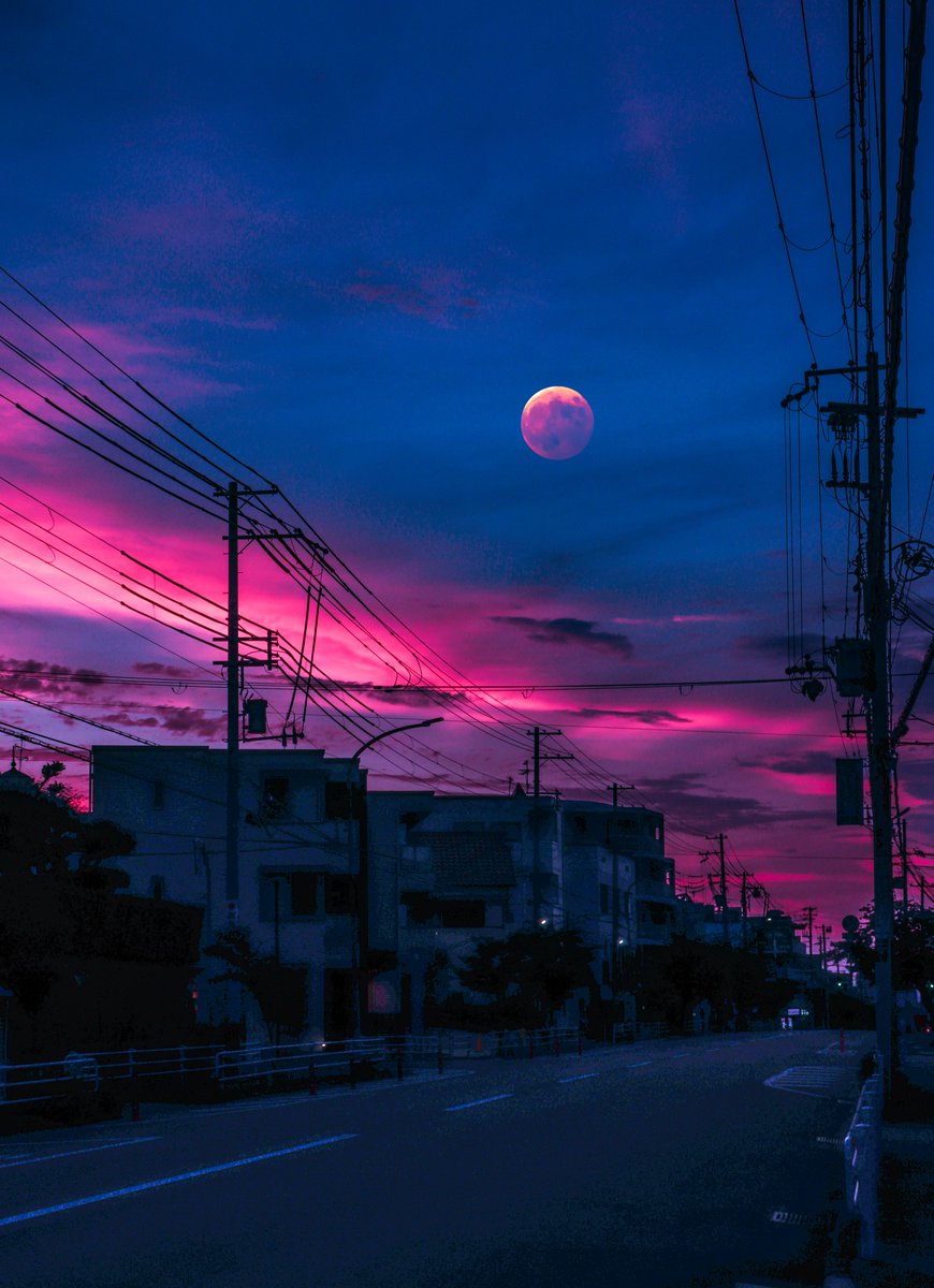 nelt_12's tweet photo. Lonely walk https://t.co/cSlL4DPLVI