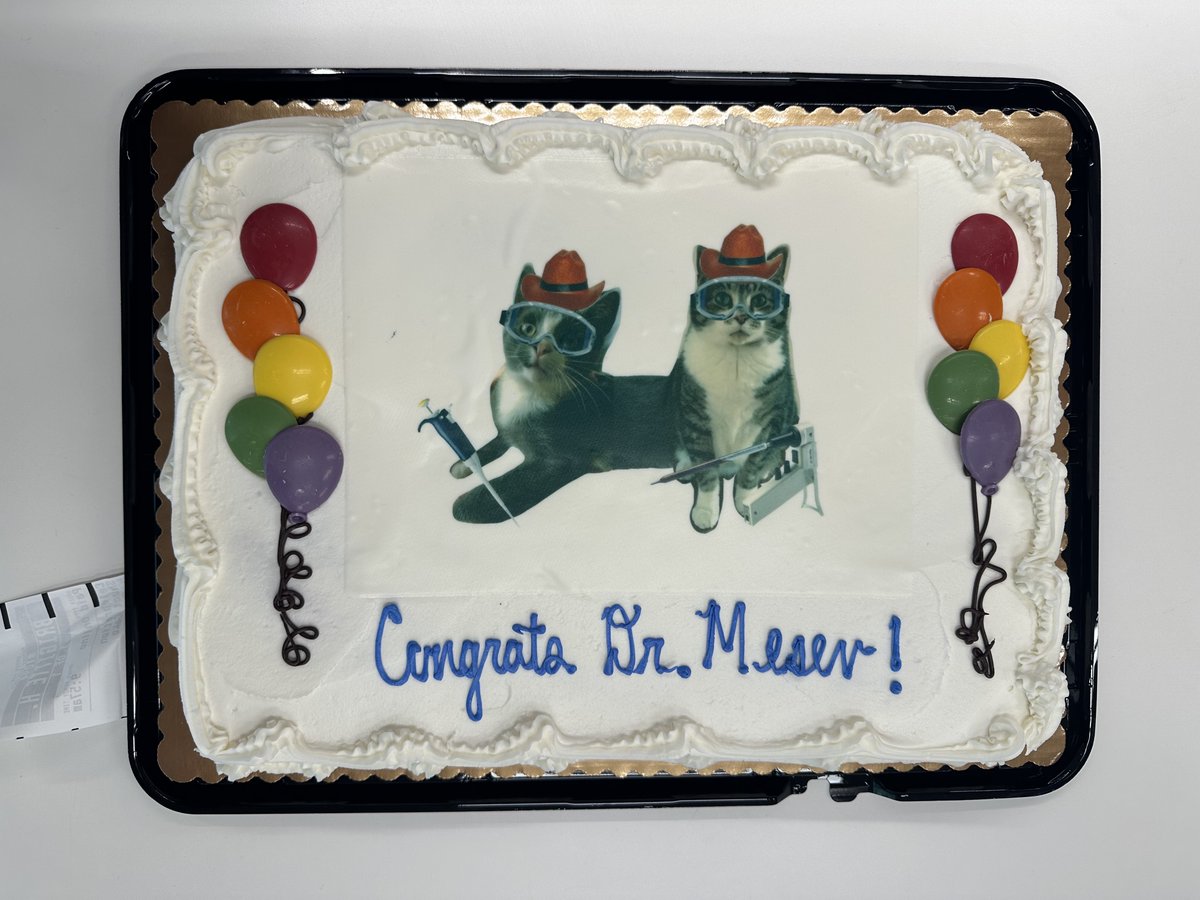 Emily Mesev tweet media