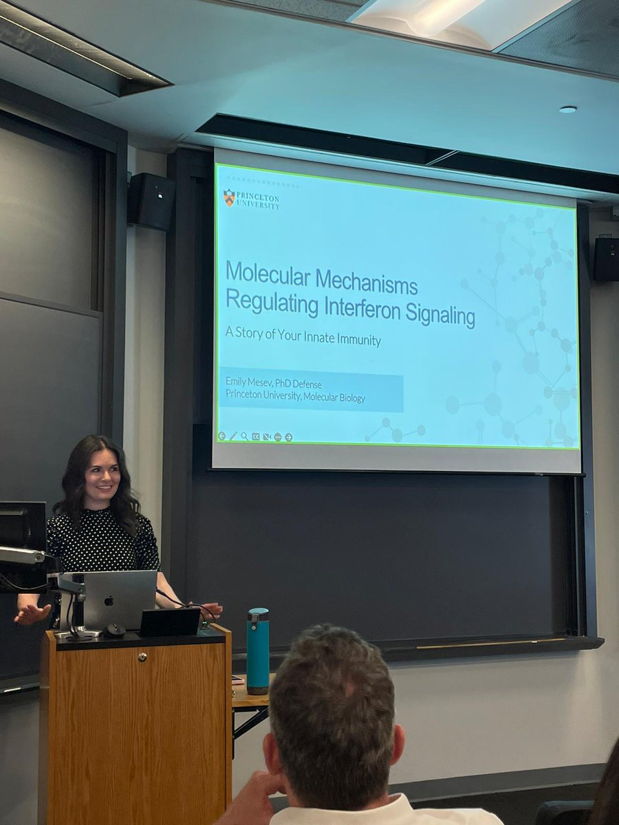 Emily Mesev tweet media