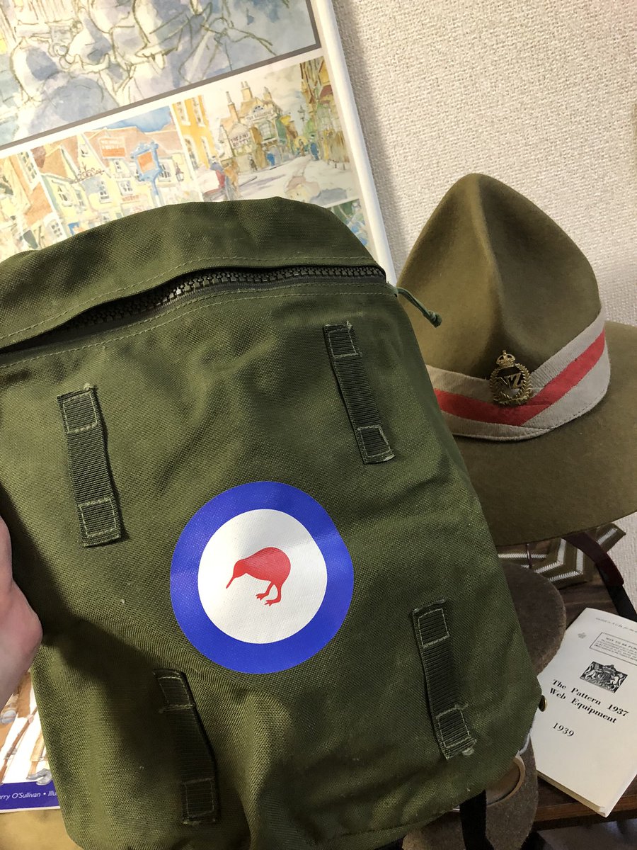こんなん売ってたら買うでしょ…！！🥝
