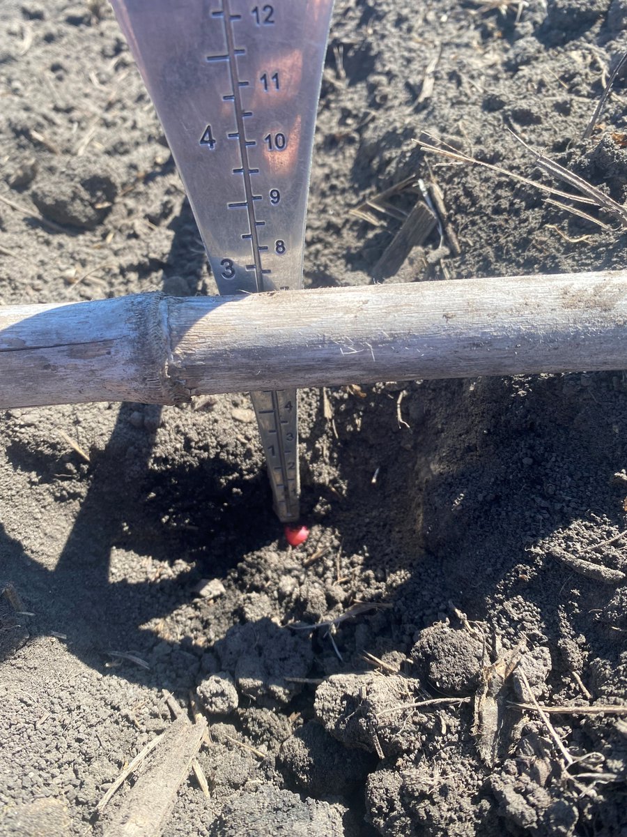 JennerCompanies's tweet photo. The Jenner Precision team has been out digging behind planters, checking seed depth and furrow integrity. #Plant23 #Spring23 #PrecisionAg #JennerPrecision https://t.co/6cEC5VNhBI