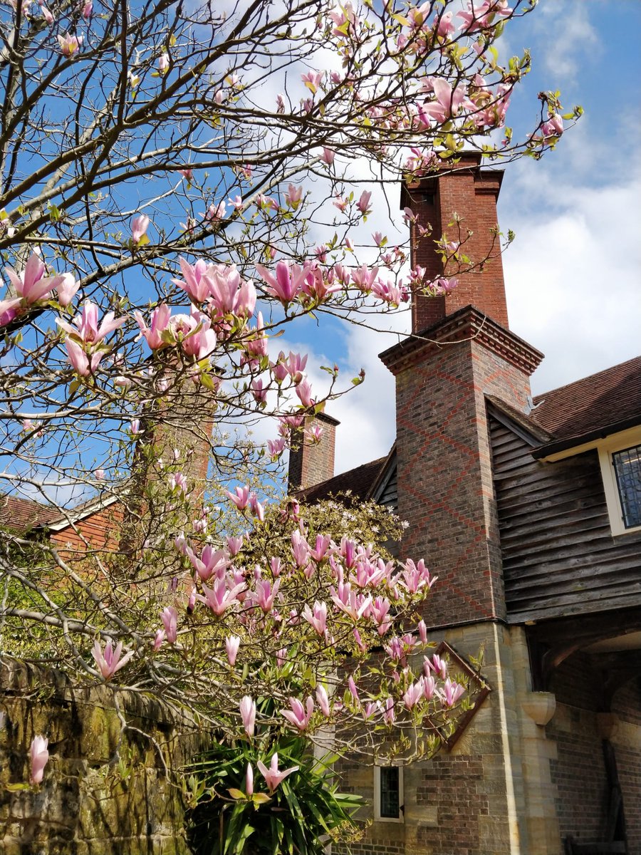 Standen NT tweet media